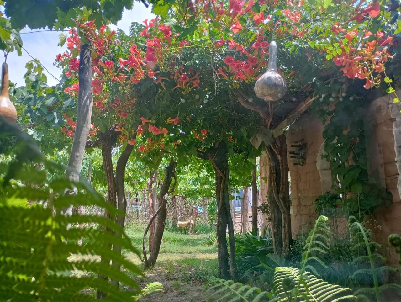Casa Prana Estudio De Yoga กาฟายาเต ภายนอก รูปภาพ
